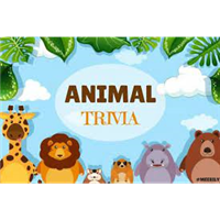 Animal Trivia Night Badge